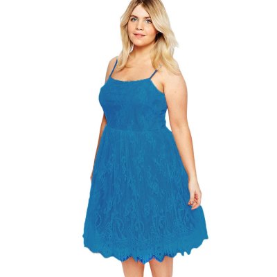 Blue Big Girl Sweet Lace Skater Dress