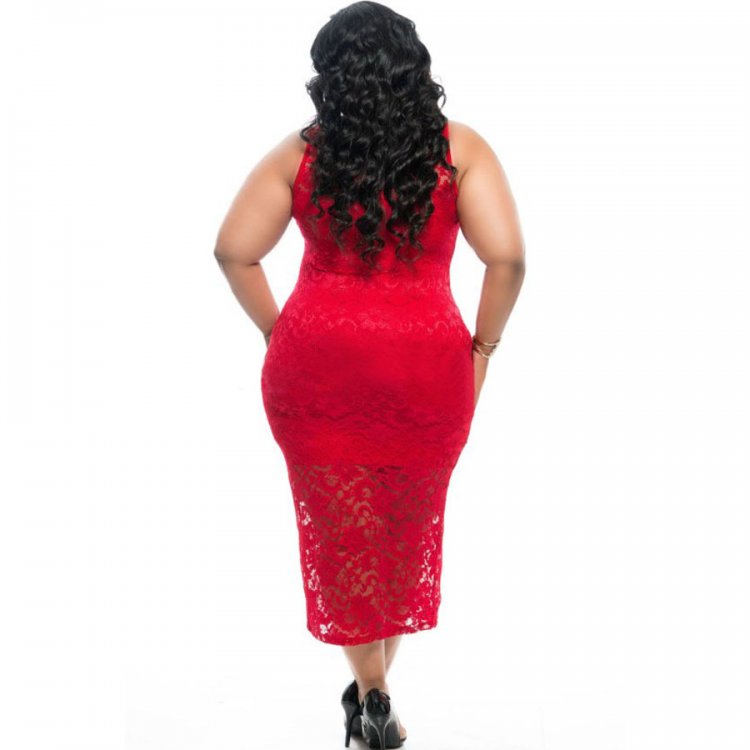 Plus Size Sleeveless Lace Zipper Front Dress in Red