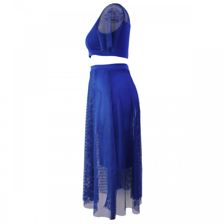Blue Mesh Joint Plus Crop Top Skirt Set