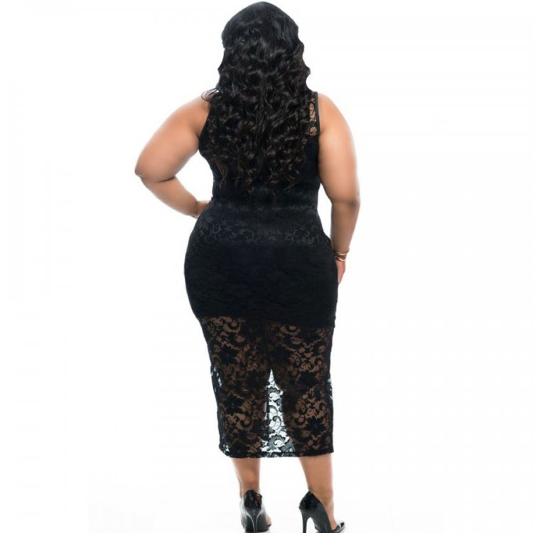 Plus Size Sleeveless Lace Zipper Front Dress in Black