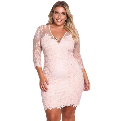 Pink Plus Size Floral Lace Embroidered Dress