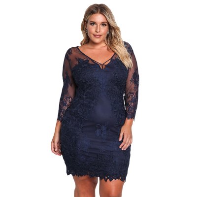 Blue Plus Size Floral Lace Embroidered Dress