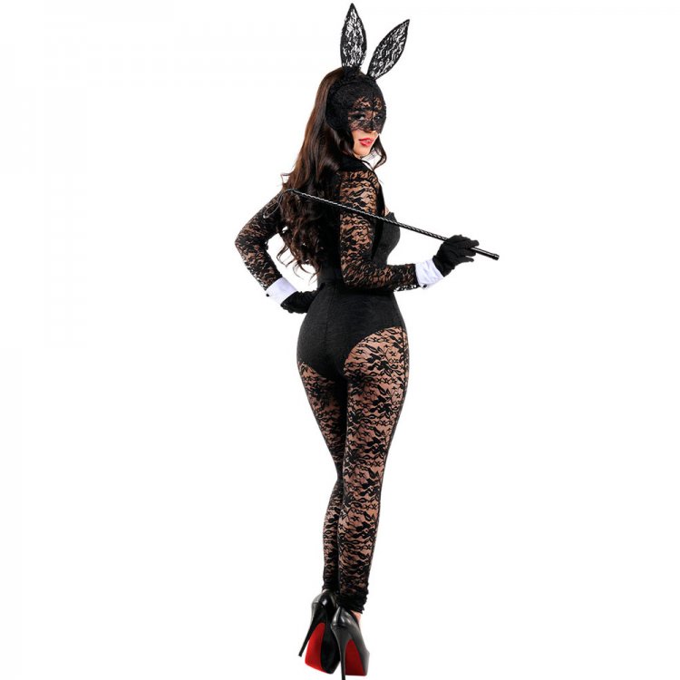 4pcs Long Sleeves Lace Bunny Costume