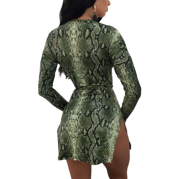 Green Snakeskin Print Long Sleeves Mini Dress