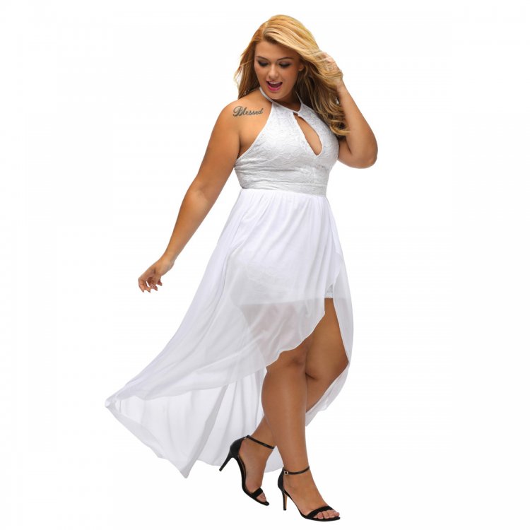 Stylish Lace Special Occasion Plus Size Dress
