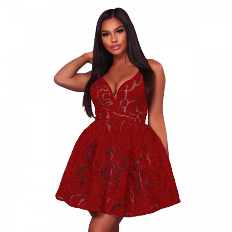 Red Rose Lace Illusion Sexy Skater Dress