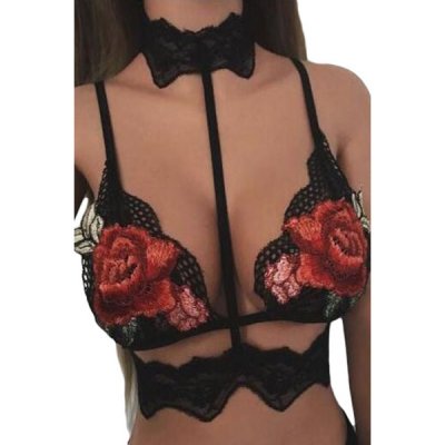 Sexy Lace Embroidered Appliques Floral Bralette with Choker