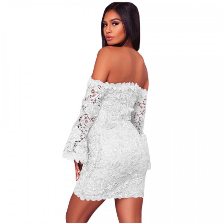 White Crochet Overlay Off The Shoulder Fitted Mini Dress