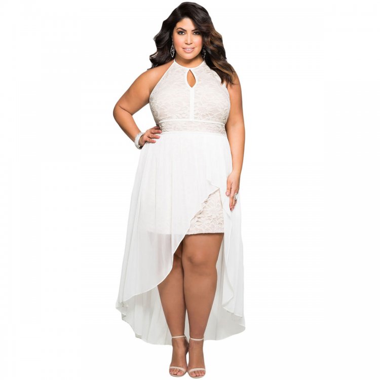 Stylish Lace Special Occasion Plus Size Dress